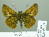  ( - HESP-EB 02312)  @14 [ ] Copyright (2010) Ernst Brockmann Research Collection of Ernst Brockmann