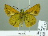  ( - HESP-EB 02322)  @14 [ ] Copyright (2010) Ernst Brockmann Research Collection of Ernst Brockmann
