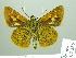  ( - HESP-EB 02335)  @14 [ ] Copyright (2010) Ernst Brockmann Research Collection of Ernst Brockmann