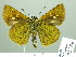  ( - HESP-EB 02336)  @14 [ ] Copyright (2010) Ernst Brockmann Research Collection of Ernst Brockmann