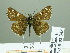  ( - HESP-EB 02343)  @12 [ ] Copyright (2010) Ernst Brockmann Research Collection of Ernst Brockmann