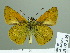  ( - HESP-EB 02349)  @14 [ ] Copyright (2010) Ernst Brockmann Research Collection of Ernst Brockmann