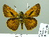 ( - HESP-EB 02349)  @14 [ ] Copyright (2010) Ernst Brockmann Research Collection of Ernst Brockmann