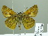  ( - HESP-EB 02350)  @14 [ ] Copyright (2010) Ernst Brockmann Research Collection of Ernst Brockmann