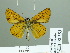  ( - HESP-EB 02353)  @13 [ ] Copyright (2010) Ernst Brockmann Research Collection of Ernst Brockmann