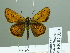  ( - HESP-EB 02353)  @14 [ ] Copyright (2010) Ernst Brockmann Research Collection of Ernst Brockmann