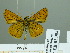  ( - HESP-EB 02354)  @12 [ ] Copyright (2010) Ernst Brockmann Research Collection of Ernst Brockmann