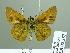  ( - HESP-EB 02357)  @14 [ ] Copyright (2010) Ernst Brockmann Research Collection of Ernst Brockmann