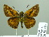  ( - HESP-EB 02357)  @14 [ ] Copyright (2010) Ernst Brockmann Research Collection of Ernst Brockmann
