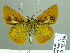  ( - HESP-EB 02358)  @14 [ ] Copyright (2010) Ernst Brockmann Research Collection of Ernst Brockmann