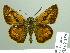  ( - HESP-EB 02358)  @14 [ ] Copyright (2010) Ernst Brockmann Research Collection of Ernst Brockmann