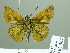  ( - HESP-EB 02362)  @14 [ ] Copyright (2010) Ernst Brockmann Research Collection of Ernst Brockmann