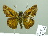  ( - HESP-EB 02362)  @14 [ ] Copyright (2010) Ernst Brockmann Research Collection of Ernst Brockmann
