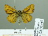  ( - HESP-EB 02367)  @13 [ ] Copyright (2010) Ernst Brockmann Research Collection of Ernst Brockmann