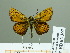  ( - HESP-EB 02367)  @14 [ ] Copyright (2010) Ernst Brockmann Research Collection of Ernst Brockmann