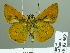  ( - HESP-EB 02369)  @14 [ ] Copyright (2010) Ernst Brockmann Research Collection of Ernst Brockmann