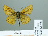  ( - HESP-EB 02370)  @13 [ ] Copyright (2010) Ernst Brockmann Research Collection of Ernst Brockmann