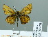  ( - HESP-EB 02370)  @14 [ ] Copyright (2010) Ernst Brockmann Research Collection of Ernst Brockmann