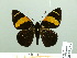  ( - HESP-EB 02380)  @13 [ ] Copyright (2010) Ernst Brockmann Research Collection of Ernst Brockmann