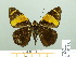  ( - HESP-EB 02381)  @13 [ ] Copyright (2010) Ernst Brockmann Research Collection of Ernst Brockmann