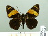  ( - HESP-EB 02381)  @13 [ ] Copyright (2010) Ernst Brockmann Research Collection of Ernst Brockmann