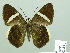  ( - HESP-EB 02415)  @12 [ ] Copyright (2010) Ernst Brockmann Research Collection of Ernst Brockmann