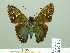  ( - HESP-EB 02417)  @13 [ ] Copyright (2010) Ernst Brockmann Research Collection of Ernst Brockmann