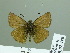  ( - HESP-EB 02440)  @13 [ ] Copyright (2010) Ernst Brockmann Research Collection of Ernst Brockmann