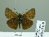  ( - HESP-EB 02440)  @13 [ ] Copyright (2010) Ernst Brockmann Research Collection of Ernst Brockmann