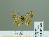  ( - HESP-EB 02447)  @13 [ ] Copyright (2010) Ernst Brockmann Research Collection of Ernst Brockmann