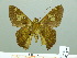  ( - HESP-EB 02477)  @12 [ ] Copyright (2010) Ernst Brockmann Research Collection of Ernst Brockmann