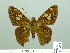  ( - HESP-EB 02477)  @13 [ ] Copyright (2010) Ernst Brockmann Research Collection of Ernst Brockmann