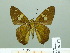  ( - HESP-EB 02479)  @12 [ ] Copyright (2010) Ernst Brockmann Research Collection of Ernst Brockmann