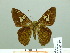  ( - HESP-EB 02479)  @13 [ ] Copyright (2010) Ernst Brockmann Research Collection of Ernst Brockmann