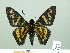  ( - HESP-EB 02588)  @14 [ ] Copyright (2010) Ernst Brockmann Research Collection of Ernst Brockmann