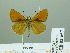  ( - HESP-EB 02 657)  @14 [ ] Copyright (2012) Ersnt Brockmann Research Collection of Ernst Brockmann