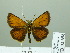  ( - HESP-EB 02 658)  @14 [ ] Copyright (2012) Ersnt Brockmann Research Collection of Ernst Brockmann