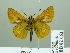  ( - HESP-EB 02 663)  @12 [ ] Copyright (2012) Ersnt Brockmann Research Collection of Ernst Brockmann