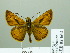  ( - HESP-EB 02 664)  @13 [ ] Copyright (2012) Ersnt Brockmann Research Collection of Ernst Brockmann