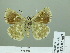  ( - HESP-EB 02 667)  @12 [ ] Copyright (2012) Ersnt Brockmann Research Collection of Ernst Brockmann