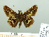  ( - HESP-EB 02 701)  @12 [ ] Copyright (2012) Ersnt Brockmann Research Collection of Ernst Brockmann