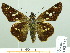  ( - HESP-EB 02 712)  @13 [ ] Copyright (2012) Ersnt Brockmann Research Collection of Ernst Brockmann
