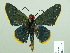  ( - HESP-EB 02 733)  @12 [ ] Copyright (2012) Ersnt Brockmann Research Collection of Ernst Brockmann