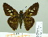  ( - HESP-EB 02 752)  @14 [ ] Copyright (2012) Ersnt Brockmann Research Collection of Ernst Brockmann