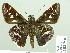  ( - HESP-EB 02 758)  @12 [ ] Copyright (2012) Ersnt Brockmann Research Collection of Ernst Brockmann