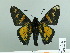  ( - HESP-EB 02 784)  @12 [ ] Copyright (2012) Ersnt Brockmann Research Collection of Ernst Brockmann