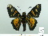  ( - HESP-EB 02 784)  @12 [ ] Copyright (2012) Ersnt Brockmann Research Collection of Ernst Brockmann