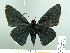  ( - HESP-EB 02 791)  @13 [ ] Copyright (2012) Ersnt Brockmann Research Collection of Ernst Brockmann