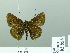  ( - HESP-EB 02 858)  @12 [ ] Copyright (2012) Ersnt Brockmann Research Collection of Ernst Brockmann