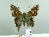  ( - HESP-EB 02 865)  @13 [ ] Copyright (2012) Ersnt Brockmann Research Collection of Ernst Brockmann